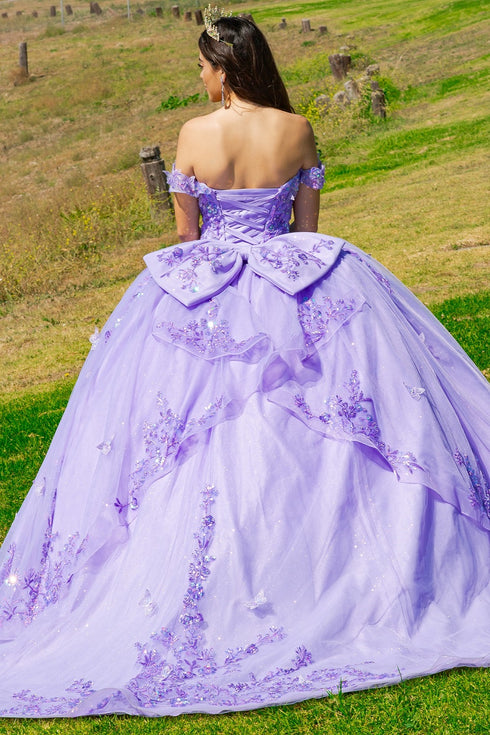 Butterfly Quinceañera Princess Ball Gown for Women, Sizes 4/XS-16/3X