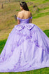 Butterfly Quinceañera Princess Ball Gown for Women, Sizes 4/XS-16/3X