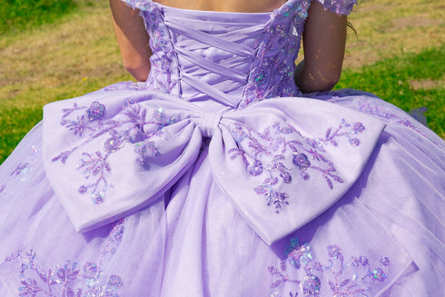 Butterfly Quinceañera Princess Ball Gown for Women, Sizes 4/XS-16/3X