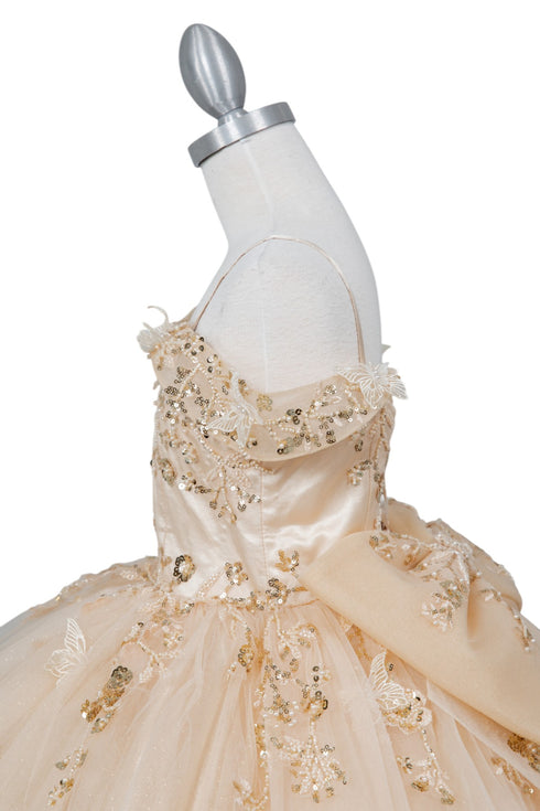 Butterfly Quinceañera Princess Ball Gown for Women, Sizes 4/XS-16/3X