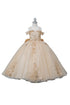 Butterfly Quinceañera Princess Ball Gown for Girls 2-16