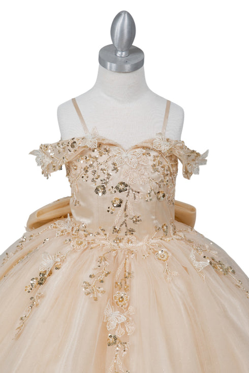 Butterfly Quinceañera Princess Ball Gown for Women, Sizes 4/XS-16/3X