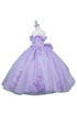 Butterfly Quinceañera Princess Ball Gown for Girls 2-16