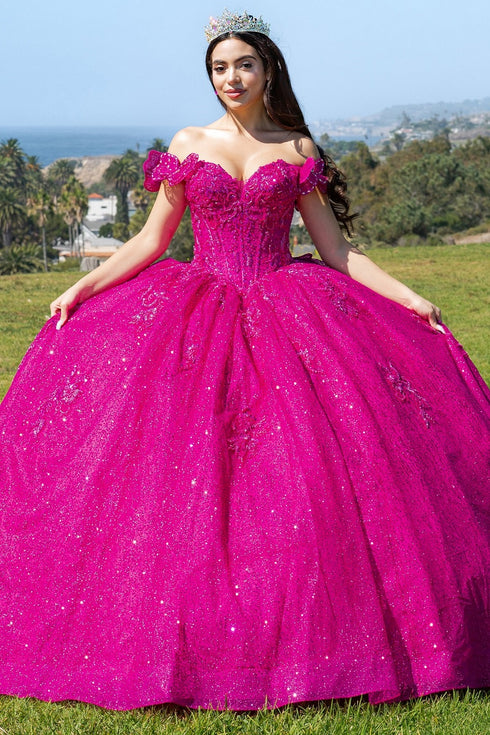 Off Shoulder Lace Beaded Applique Quinceañera Ball Gown for Women 4/XS-16/3X