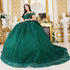 Off Shoulder Lace Beaded Applique Quinceañera Ball Gown for Women 4/XS-16/3X
