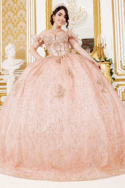 Off Shoulder Lace Beaded Applique Quinceañera Ball Gown for Women 4/XS-16/3X