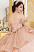 Off Shoulder Lace Beaded Applique Quinceañera Ball Gown for Women 4/XS-16/3X