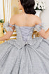 Off Shoulder Lace Beaded Applique Quinceañera Ball Gown for Women 4/XS-16/3X
