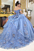 Enchanting Floral Details Quinceañera Ball Gown for Women, Sizes 4/XS-16/3X