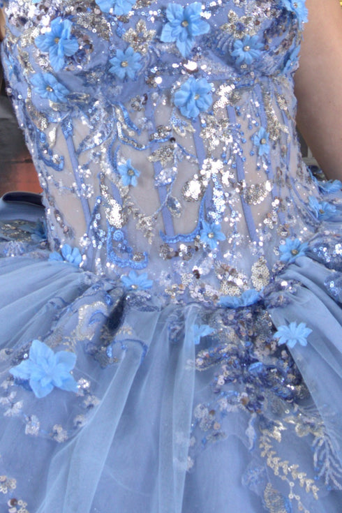 Enchanting Floral Details Quinceañera Ball Gown for Women, Sizes 4/XS-16/3X