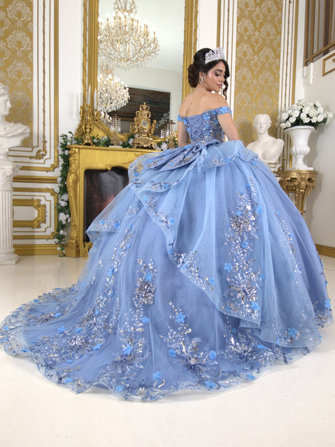 Enchanting Floral Details Quinceañera Ball Gown for Women, Sizes 4/XS-16/3X