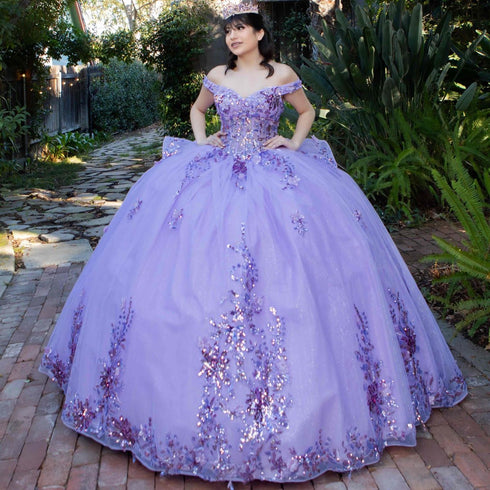 Enchanting Floral Details Quinceañera Ball Gown for Women, Sizes 4/XS-16/3X