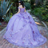 Enchanting Floral Details Quinceañera Ball Gown for Women, Sizes 4/XS-16/3X