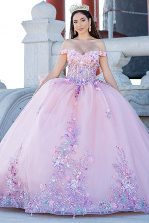 Enchanting Floral Details Quinceañera Ball Gown for Women, Sizes 4/XS-16/3X