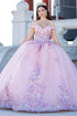 Enchanting Floral Details Quinceañera Ball Gown for Women, Sizes 4/XS-16/3X
