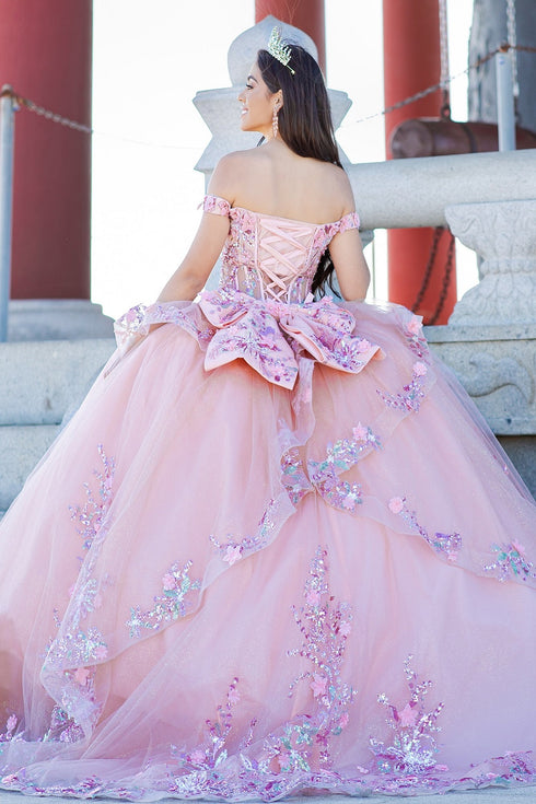 Enchanting Floral Details Quinceañera Ball Gown for Women, Sizes 4/XS-16/3X