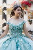 Enchanting Floral Details Quinceañera Ball Gown for Women, Sizes 4/XS-16/3X