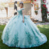 Enchanting Floral Details Quinceañera Ball Gown for Women, Sizes 4/XS-16/3X