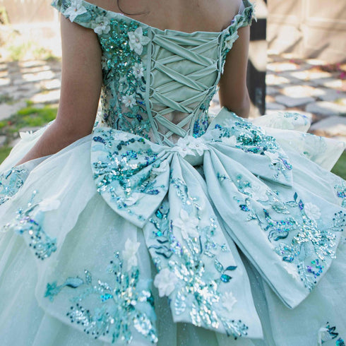 Enchanting Floral Details Quinceañera Ball Gown for Women, Sizes 4/XS-16/3X