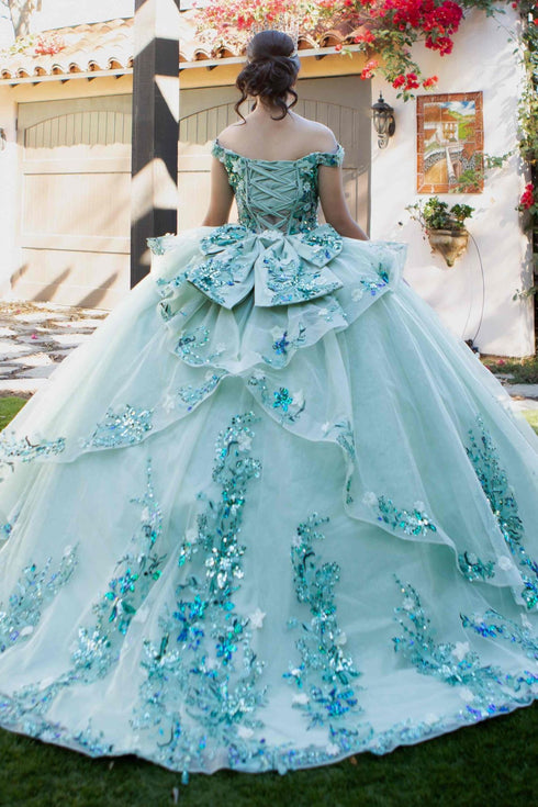 Enchanting Floral Details Quinceañera Ball Gown for Women, Sizes 4/XS-16/3X
