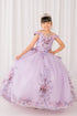 Girls 3D Beaded Applique A-line Off Shoulder Ball Gown 2-16