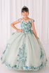 Girls 3D Beaded Applique A-line Off Shoulder Ball Gown 2-16