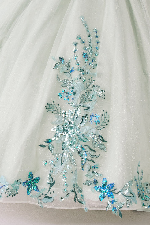 Girls 3D Beaded Applique A-line Off Shoulder Ball Gown 2-16