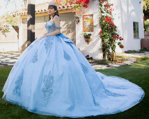 Lace Appliques Sparkling Beadwork Quinceanera Ballgown for Women 4/XS-16/3X
