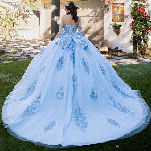 Lace Appliques Sparkling Beadwork Quinceanera Ballgown for Women 4/XS-16/3X