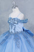 Princess-Inspired Ball Gown for Girls 2-16