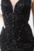 Womens Embellished Lace Mermaid Gown 4/XS-16/3X