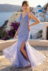 Womens Embellished Lace Mermaid Gown 4/XS-16/3X