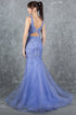 Womens Embellished Lace Mermaid Gown 4/XS-16/3X