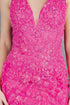 Womens Embellished Lace Mermaid Gown 4/XS-16/3X