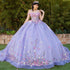 Enchanting Princess-Inspired Floral Ball Gown for Women 4/XS-16/3X