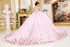 Enchanting Princess-Inspired Floral Ball Gown for Women 4/XS-16/3X