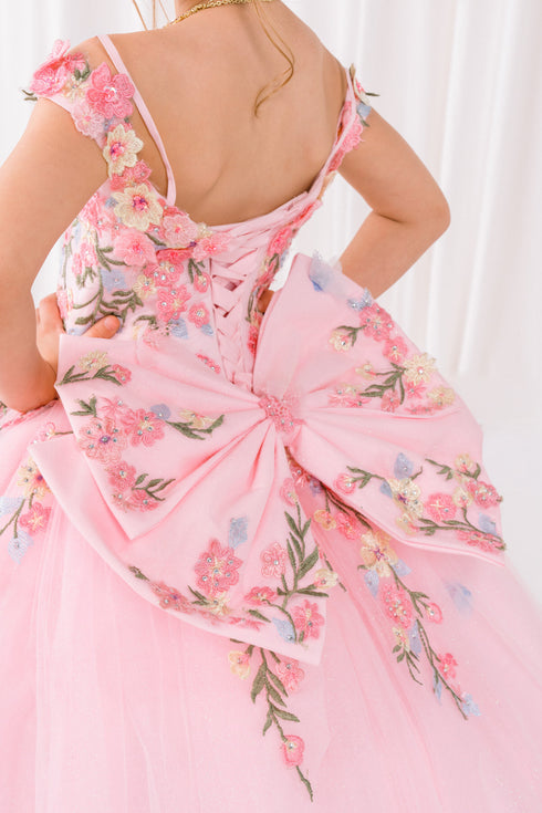 Fairy Tale Ball Gown for Girls 2-16