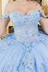 Floral Quinceañera Ball Gown with Crystal Embellishments for Women 4/XS-16/3X