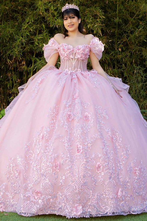 3D Floral Quinceañera Gown with Butterfly Details and Royal Train for Women 4/XS-16/3X