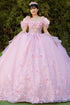 3D Floral Quinceañera Gown with Butterfly Details and Royal Train for Women 4/XS-16/3X