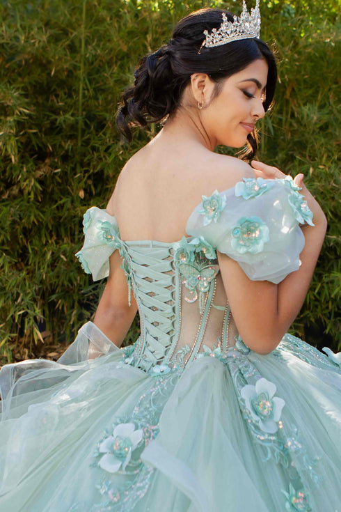 3D Floral Quinceañera Gown with Butterfly Details and Royal Train for Women 4/XS-16/3X