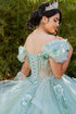 3D Floral Quinceañera Gown with Butterfly Details and Royal Train for Women 4/XS-16/3X
