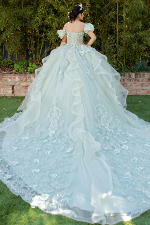 3D Floral Quinceañera Gown with Butterfly Details and Royal Train for Women 4/XS-16/3X