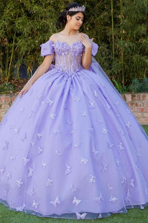 Women's Princess Butterfly Ball Gown – Off-Shoulder Tulle Quinceañera Dress with Beaded Corset and Sheer Sleeve 4/XS-16/3X
