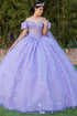 Women's Princess Butterfly Ball Gown – Off-Shoulder Tulle Quinceañera Dress with Beaded Corset and Sheer Sleeve 4/XS-16/3X