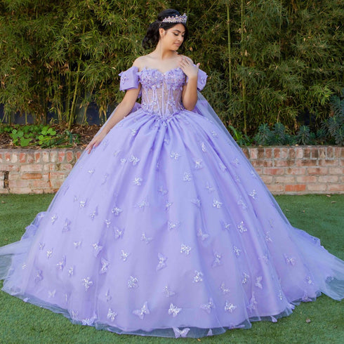 Women's Princess Butterfly Ball Gown – Off-Shoulder Tulle Quinceañera Dress with Beaded Corset and Sheer Sleeve 4/XS-16/3X