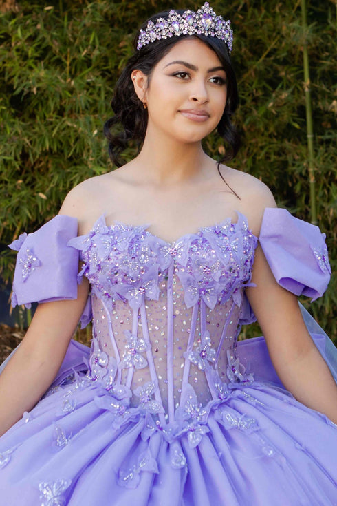 Women's Princess Butterfly Ball Gown – Off-Shoulder Tulle Quinceañera Dress with Beaded Corset and Sheer Sleeve 4/XS-16/3X