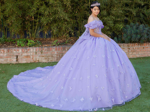 Women's Princess Butterfly Ball Gown – Off-Shoulder Tulle Quinceañera Dress with Beaded Corset and Sheer Sleeve 4/XS-16/3X