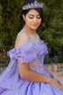 Women's Princess Butterfly Ball Gown – Off-Shoulder Tulle Quinceañera Dress with Beaded Corset and Sheer Sleeve 4/XS-16/3X
