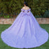 Women's Princess Butterfly Ball Gown – Off-Shoulder Tulle Quinceañera Dress with Beaded Corset and Sheer Sleeve 4/XS-16/3X